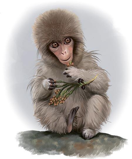 Маленькая снежная обезьянка Шуня коренной российский житель Он родился в - фото 1