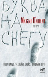 Михаил Шишкин: Буква на снегу