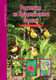 Сергей Афонькин: Растения из Красной книги России