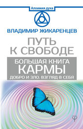Владимир Жикаренцев: Большая книга Кармы. Путь к свободе. Добро и Зло. Взгляд в себя