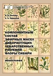 Ирина Зыкова: Компонентный состав эфирных масел дикорастущих лекарственных растений флоры Сибири