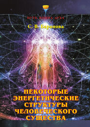 Светлана Баранова: Некоторые энергетические структуры человеческого существа