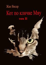 Жан Висар: Кот по кличке Мяу. Том II