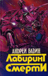 Андрей Бадин: Лабиринт смерти