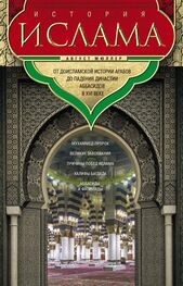 Август Мюллер: История ислама. Т. 1, 2. От доисламской истории арабов до падения династии Аббасидов в XVI веке