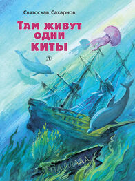 Святослав Сахарнов: Там живут одни киты (сборник)