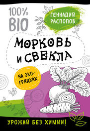 Геннадий Распопов: Морковь и свекла на эко грядках. Урожай без химии