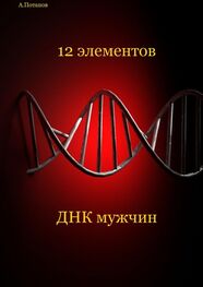 Андрей Потапов: 12 элементов ДНК мужчин. Об этом надо знать каждой женщине
