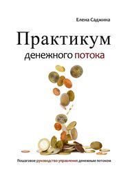 Елена Саджина: Практикум денежного потока. Пошаговое руководство управления денежным потоком