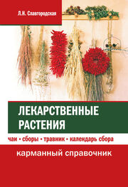 Лариса Славгородская: Лекарственные растения: чаи, сборы, травник, календарь сбора