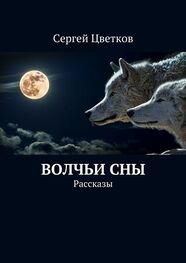 Сергей Цветков: Волчьи сны. Рассказы