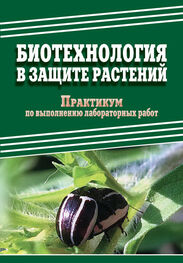 Дмитрий Павлов: Биотехнология в защите растений. Практикум по выполнению лабораторных работ