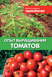 А. Панкратова: Опыт выращивания томатов