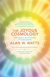 Алан Уотс: Космология радости