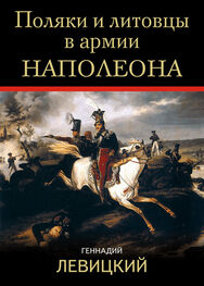 Геннадий Левицкий: Поляки и литовцы в армии Наполеона