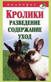 Виктор Горбунов: Кролики: разведение, содержание, уход
