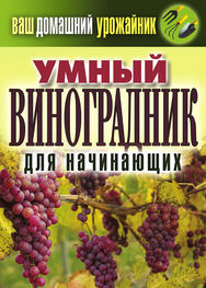 Екатерина Животовская: Умный виноградник для начинающих