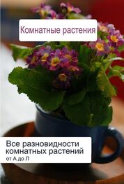 Илья Мельников: Все разновидности комнатных растений (от А до Л)