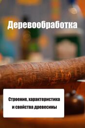 Илья Мельников: Строение, характеристика и свойства древесины