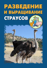 Александр Ханников: Разведение и выращивание страусов