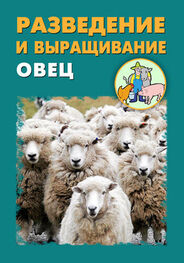 Александр Ханников: Разведение и выращивание овец