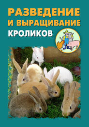 Александр Ханников: Разведение и выращивание кроликов