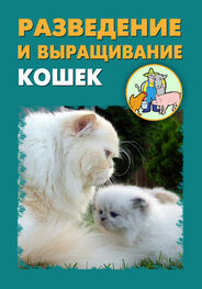 Илья Мельников: Разведение и выращивание кошек