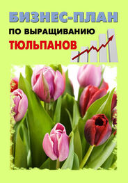 А. Бруйло: Бизнес-план по выращиванию тюльпанов