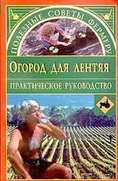 Евгения Сбитнева: Огород для лентяя