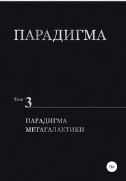 Виталий Сердюк: Парадигма. Том 3. Парадигма метагалактики