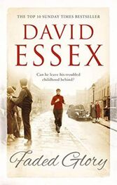 David Essex: Faded Glory
