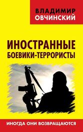 Владимир Овчинский: Иностранные боевики-террористы. Иногда они возвращаются