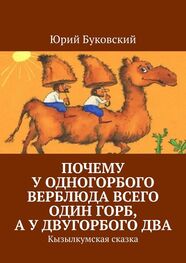 Юрий Буковский: Почему у одногорбого верблюда всего один горб, а у двугорбого два. Кызылкумская сказка