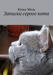 Юлия Эбель: Записки серого кота. Жизнь людей глазами кота