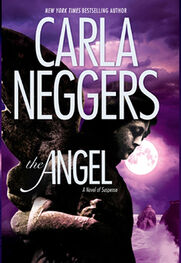 Carla Neggers: The Angel