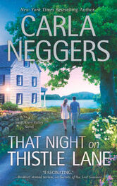 Carla Neggers: That Night on Thistle Lane