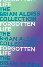 Brian Aldiss: Forgotten Life