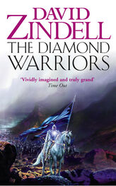 David Zindell: The Diamond Warriors