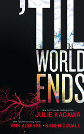 Julie Kagawa: Till The World Ends: Dawn of Eden / Thistle & Thorne / Sun Storm