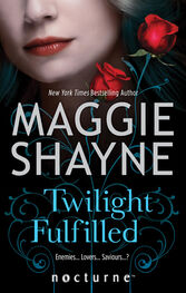 Maggie Shayne: Twilight Fulfilled
