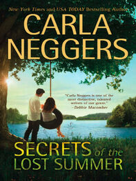 Carla Neggers: Secrets of the Lost Summer