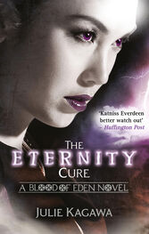 Julie Kagawa: The Eternity Cure