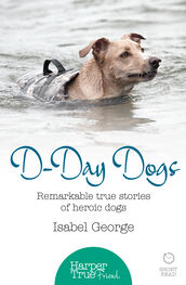 Isabel George: D-day Dogs: Remarkable true stories of heroic dogs