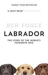 Ben Fogle: Labrador: The Story of the World’s Favourite Dog