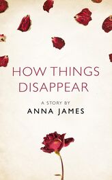 Anna James: How Things Disappear: A Story from the collection, I Am Heathcliff