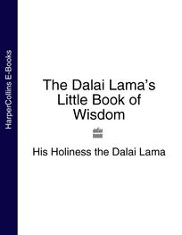 His Holiness the Dalai Lama: The Dalai Lama’s Little Book of Wisdom
