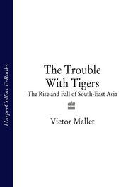 Victor Mallet: The Trouble With Tigers: The Rise and Fall of South-East Asia