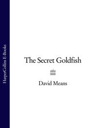 David Means: The Secret Goldfish