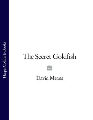 David Means The Secret Goldfish