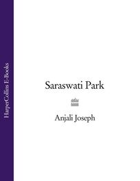 Anjali Joseph: Saraswati Park